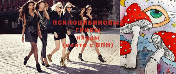 крисы Вяземский