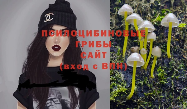 ПСИЛОЦИБИНОВЫЕ ГРИБЫ Горнозаводск