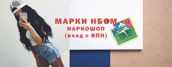 хмурый Горно-Алтайск