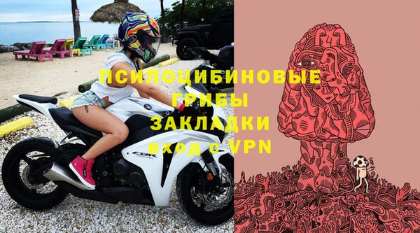 ПСИЛОЦИБИНОВЫЕ ГРИБЫ Горнозаводск