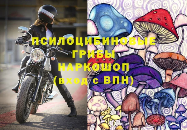хмурый Горно-Алтайск
