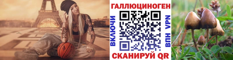 Псилоцибиновые грибы MAGIC MUSHROOMS  Купить где  Черноголовка 