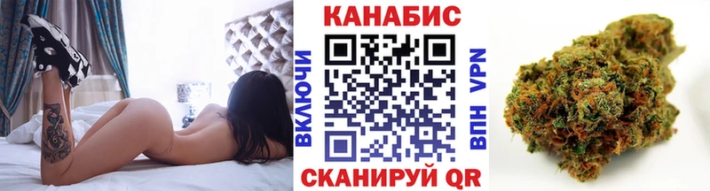 МАРИХУАНА планчик Купить Черноголовка